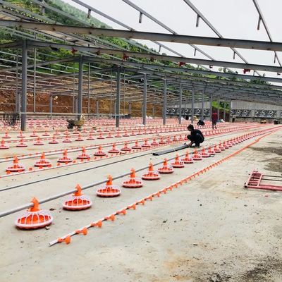4 Pan/3m 가금류 농기구 380v 자동 공급 시스템