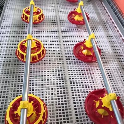 750w 가금류 농장 장비 육계 공급 장비 4 pan/3m 3 pan/3m