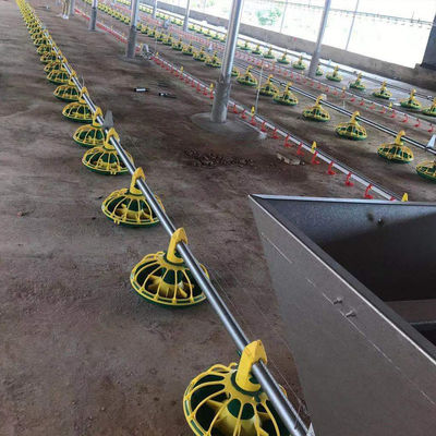 OEM/ODM 닭 모이 라인 Galavnized Stee Broiler Feeding System