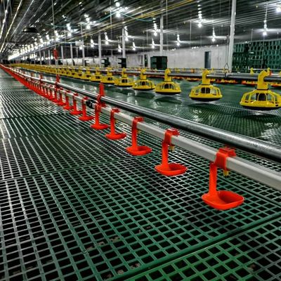 45-65 육계 닭 사육 장비 HX 닭 사료 공급 시스템