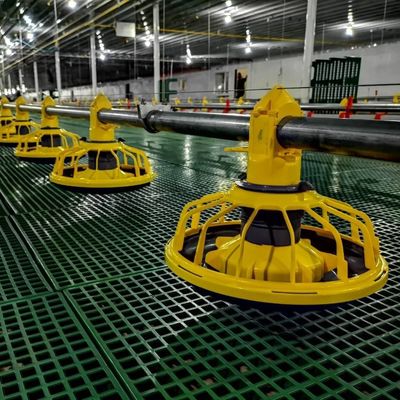 45-65 육계 닭 사육 장비 HX 닭 사료 공급 시스템