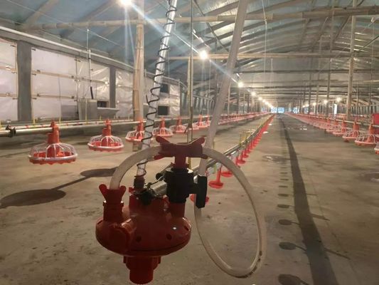 모는 장치를 가진 4개의 Pan/3m 닭 지류 장비 380v 0.75kw